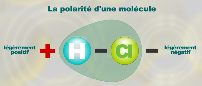 Polarité des molécules